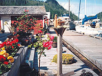 description