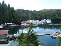 SB 03 013