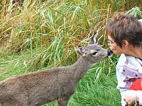 The kiss